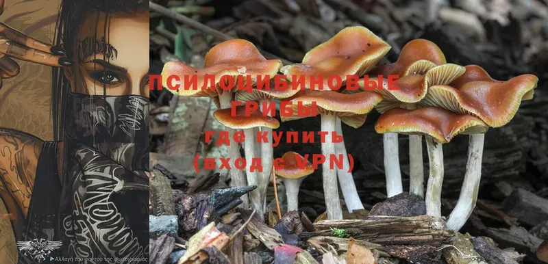 Псилоцибиновые грибы Magic Shrooms  Белебей 